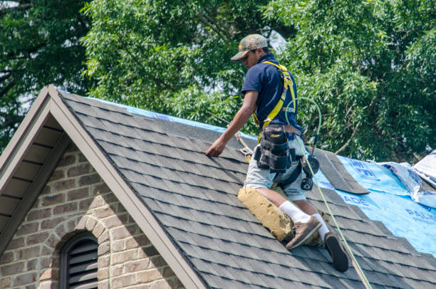 Roof Gutter Cleaning in Cave Junction, OR